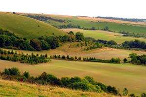 North Wessex Downs