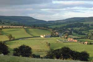 North York Moors